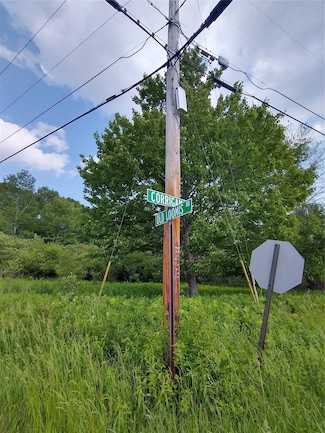 0 Old Loomis Rd Unit KEY881808, Liberty, NY 12754