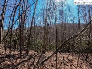 Lot 99 Beaver Dam Rd, Elk Park, NC 28622