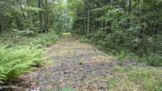 Lot 54 Skyline Dr, Milford, PA 18337