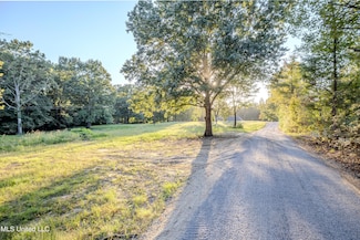Lot 3 Myers Rd, Byhalia, MS 38611