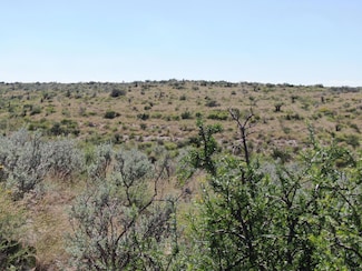 0 Pumpville Dr, Langtry, TX 78871