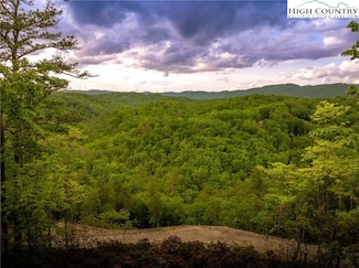 289 Ninebark Rd, Boone, NC 28607