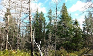 23305 Duck Lake Trail, Newberry, MI 49868