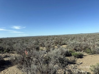 0 Off Piglet Way Unit 3007501, Christmas Valley, OR 97641