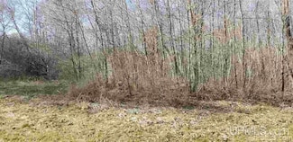 TBD2 Cedar Balsam St, Ontonagon, MI 49953