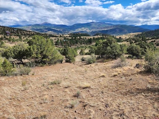 2867 Bear Creek Cir, South Fork, CO 81154