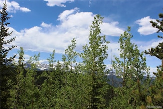 Group 1 Lamartine Rd, Idaho Springs, CO 80452