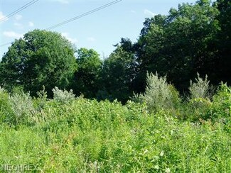 21 Crow Rd, Litchfield, OH 44253