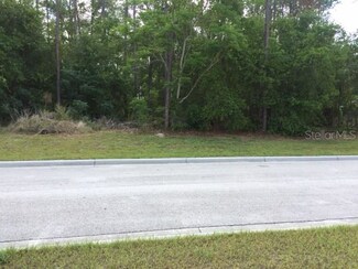 5419 Heritage Pass Cir, Mount Dora, FL 32757