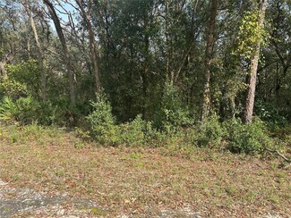 9102 Realstone Dr, Webster, FL 33597