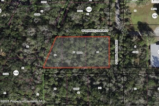 0 Dunn & Pennsylvania St Unit MFRTB8399686, Homosassa, FL 34448