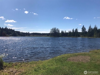 1620 W Star Lake Dr, Elma, WA 98541
