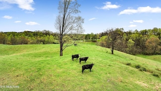 0 Colony Dr, Jonesville, VA 24263