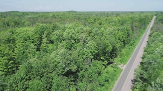 40 Acres Maple Grove Rd, Skandia, MI 49885