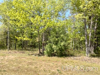 10481 Breezy R 22 Ln, Rapid River, MI 49878