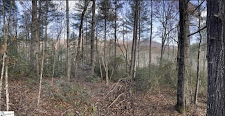 0000 Gap Creek Rd, Marietta, SC 29661
