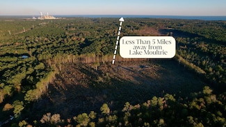 00 Saint Julian Dr, Cross, SC 29436