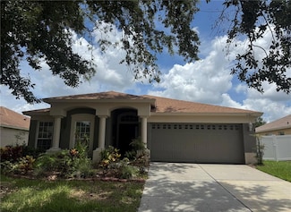 12827 Early Run Ln, Riverview, FL 33578