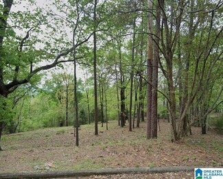 1505 Verdure Cove Unit 19, Hoover, AL 35226