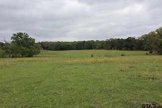 TBD Rs County Road 2365, Alba, TX 75410