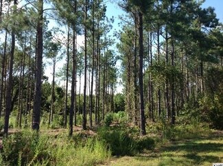 0 Center Church Rd Unit 1421712, Mullins, SC 29574