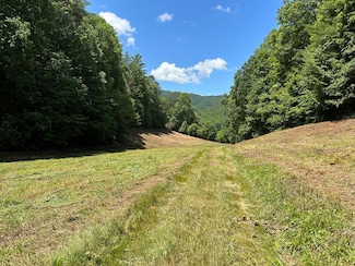 00 Long Creek Rd, Robbinsville, NC 28771