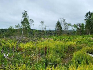 Lot 8 998 Hanlin Rd, Bruceton Mills, WV 26525