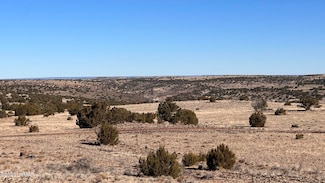 -078B 5135, Concho, AZ 85924