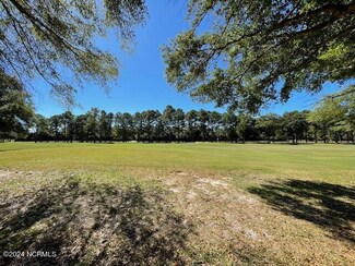 1516 Jupiter Hills Cir, Harnett, NC 28411