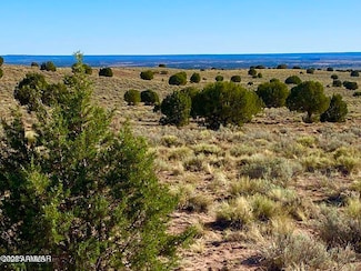 River Meadows Ranch Unit 3 Lot 204 --, Concho, AZ 85924