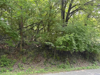 TBD Chestnut St, Vinton, VA 24179