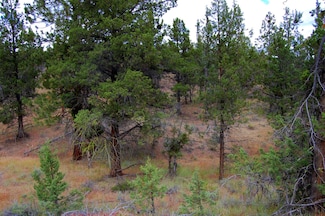 0 Tl 700 Nw Circle St, Prineville, OR 97754