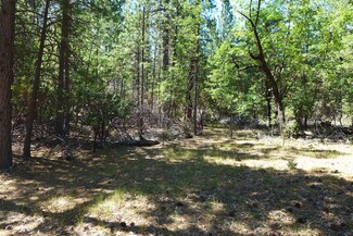 50.5 +- Ac Smiling Ranch Rd, Whitmore, CA 96096