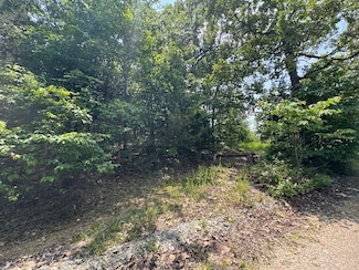 46 Worthen Dr, Mountain Home, AR 72653
