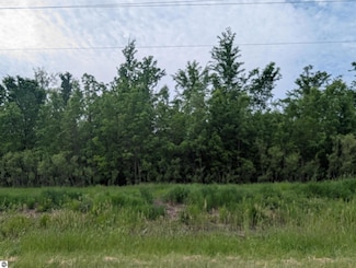 N/A Twining Rd, Au Gres, MI 48703