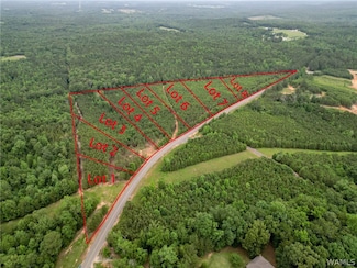 Lot 4 John Swindle Rd, Northport, AL 35475