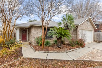 3343 Flamingo Basin, San Antonio, TX 78247