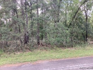 645 N Heathrow Dr, Lecanto, FL 34461