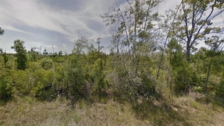 TBD Panhandle Rd, Dequincy, LA 70633