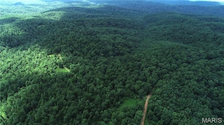 000 Bidwell Creek Rd Unit 1B, Mine La Motte, MO 63645