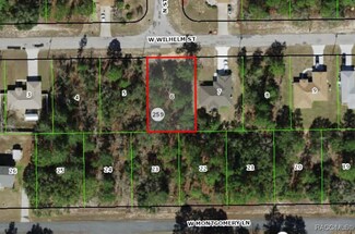 3282 W Wilhelm St, Citrus Springs, FL 34433