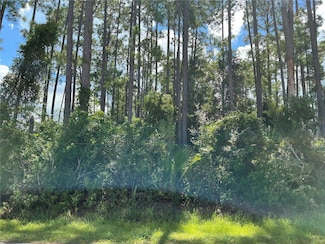 53 Fenwick Ln, Palm Coast, FL 32137