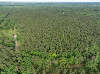 0064 Holomon Cemetery Rd, Dubberly, LA 71024