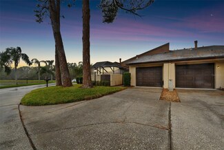 4911 Umber Way S, Tampa, FL 33624