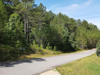 36 Loftis Mountain Rd, Blairsville, GA 30512