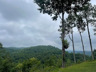 916 Aurora Ln, Ranger, GA 30734