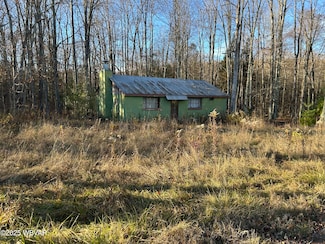 137 Tuffy Rd, Shunk, PA 17768