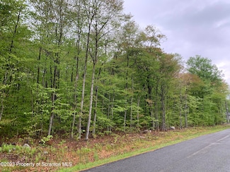 11 Holly Ln, Thornhurst Township, PA 18424
