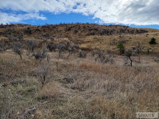 NKN E Tower Creek Rd, Carmen, ID 83462