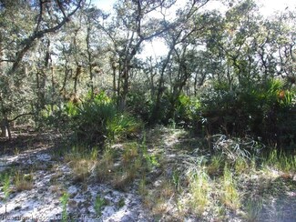 6714 Banyan Rd, Sebring, FL 33875